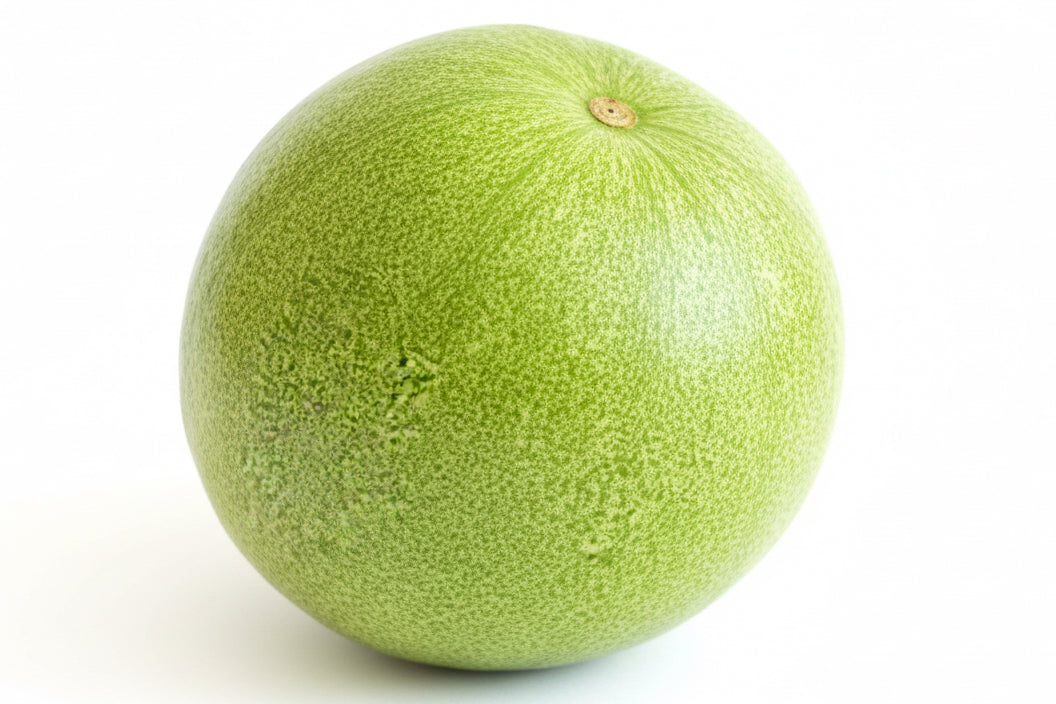 Frischer Wachskürbis (Wintermelone/Kola) – 1 kg bis 1,5 kg