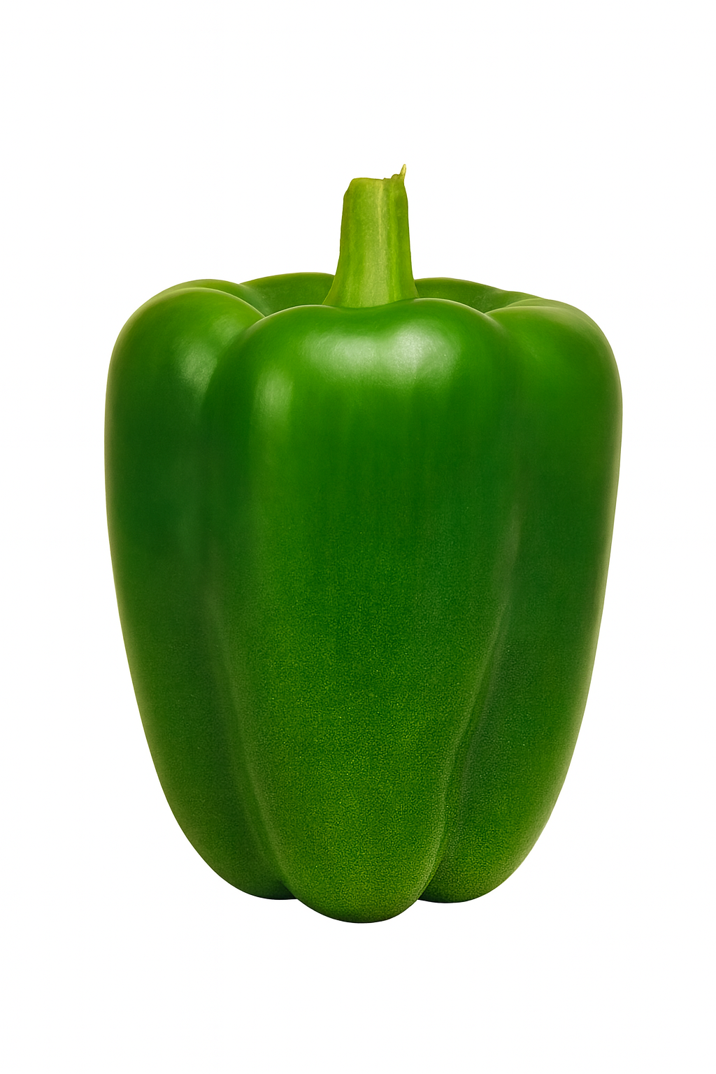Verse groene paprika (200-250 g)