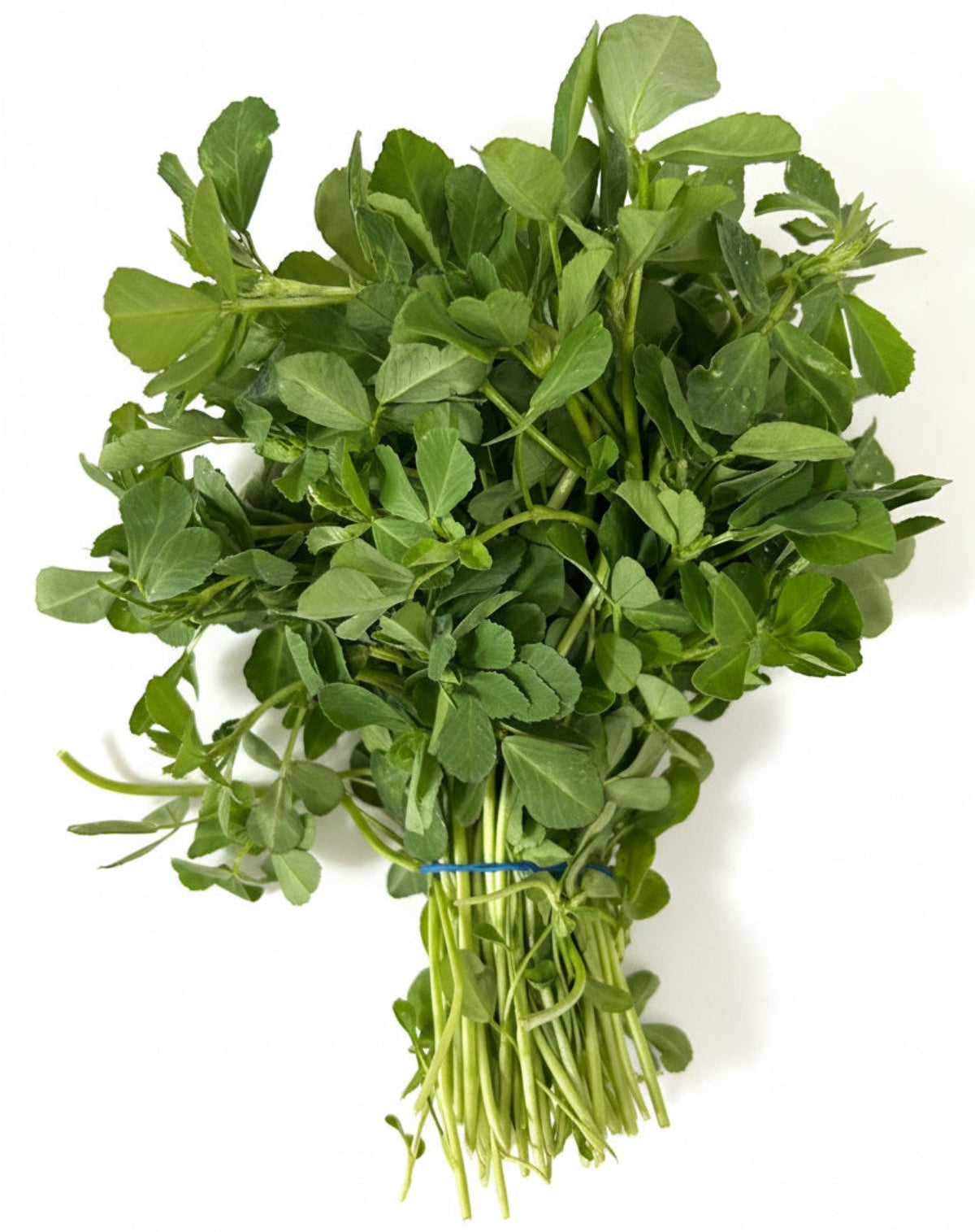 Bunch of fresh green leafy vegetables on a white cutting board.