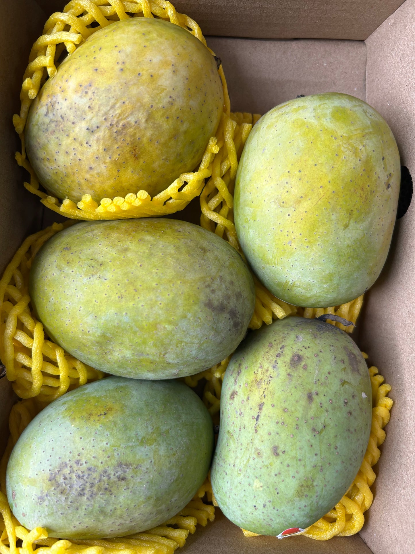 Doos verse Langra-mango's - 4 tot 5 stuks