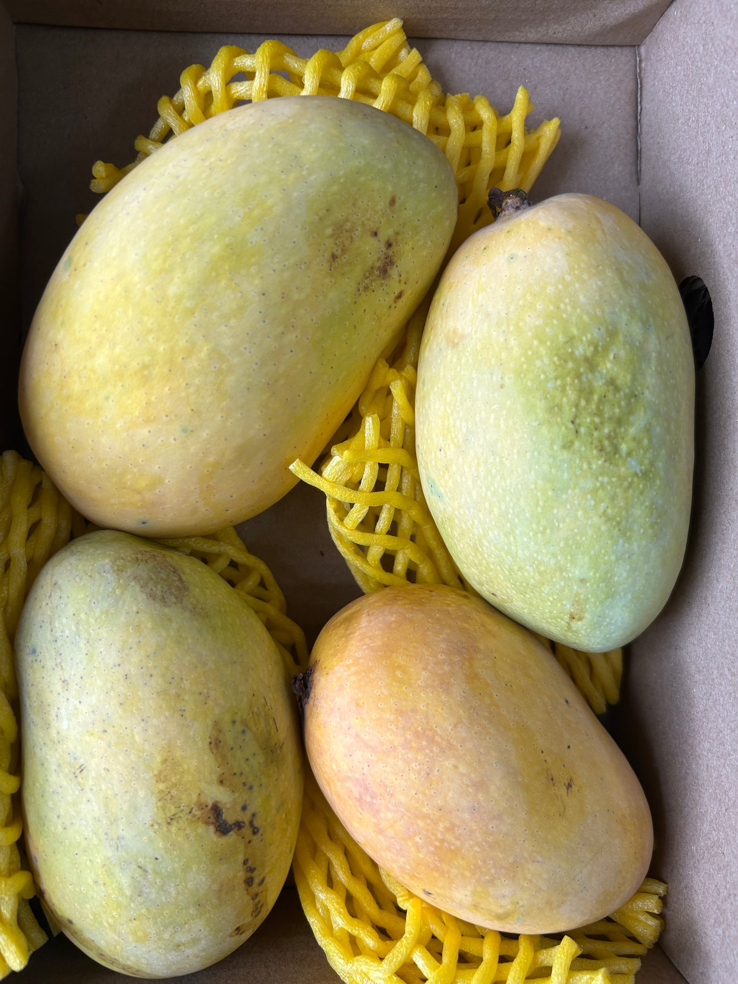 Fresh Chaunsa Mango Box - 4 to 5 Piece