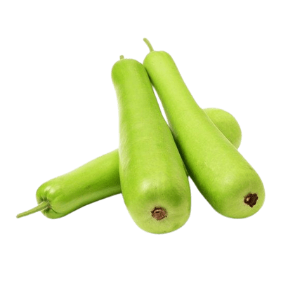 Fresh Dudhi (Bottle Gourd) – 450–550g