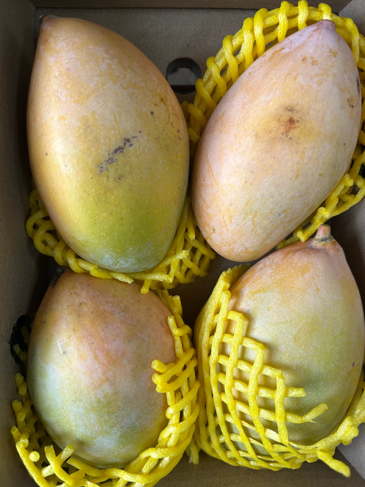 Doos verse Totapuri-mango's - 4 stuks