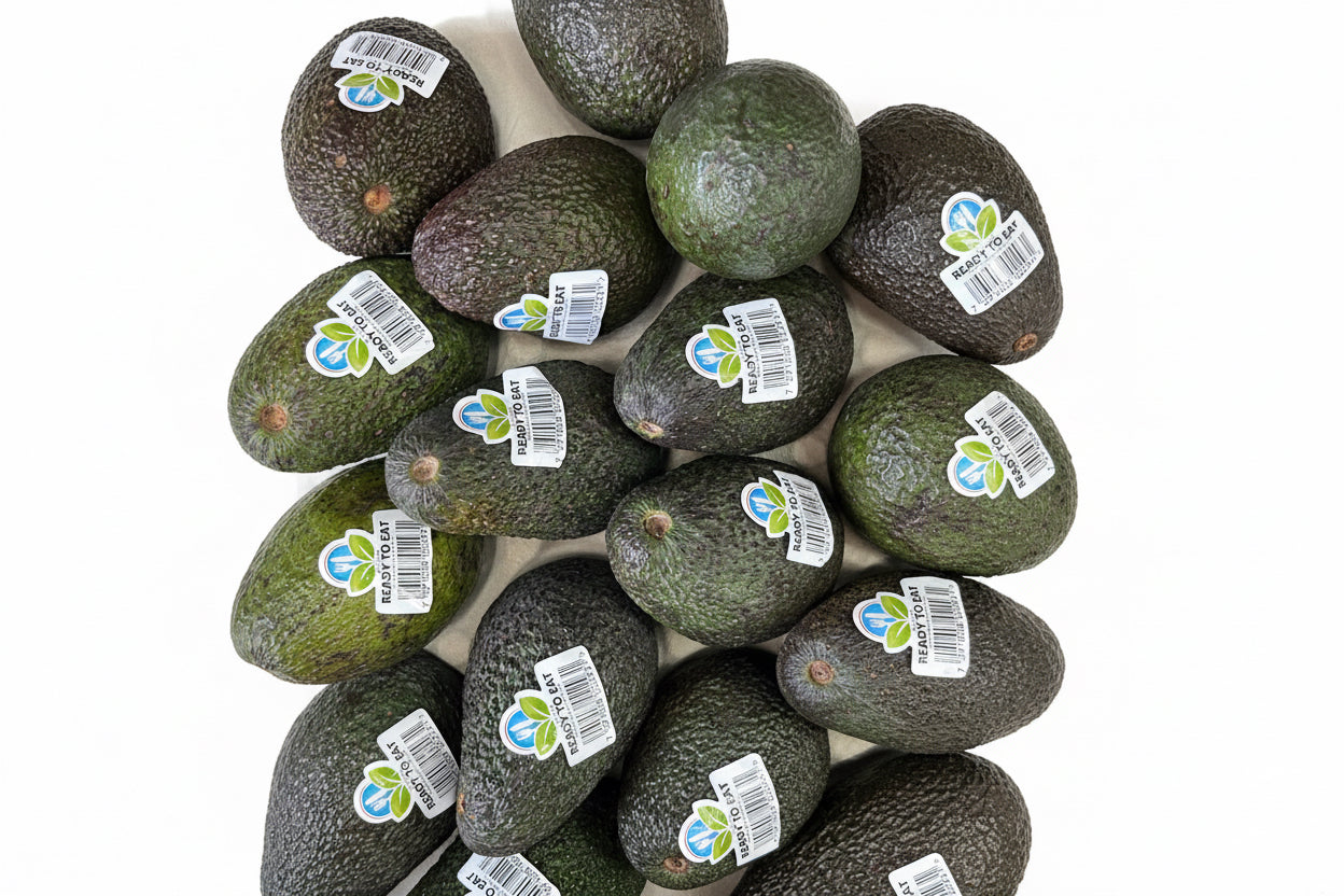 Fresh Avocado - 1 Piece