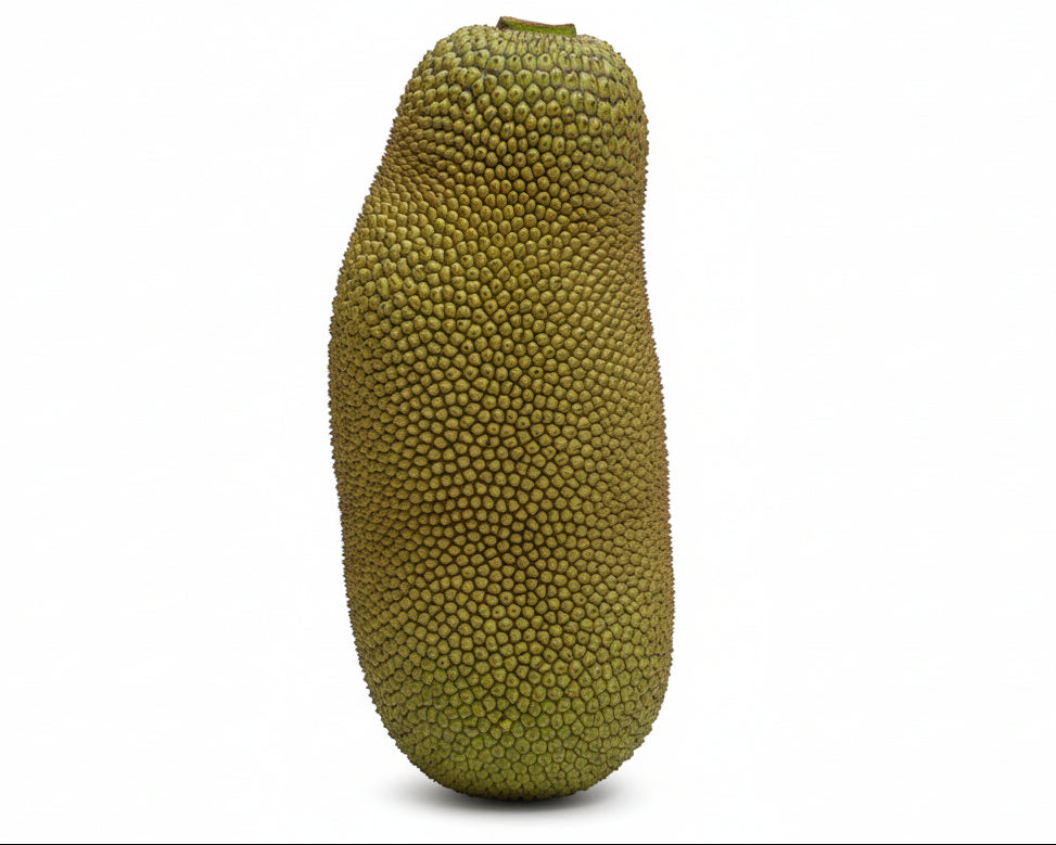 Fresh Baby Jackfruit