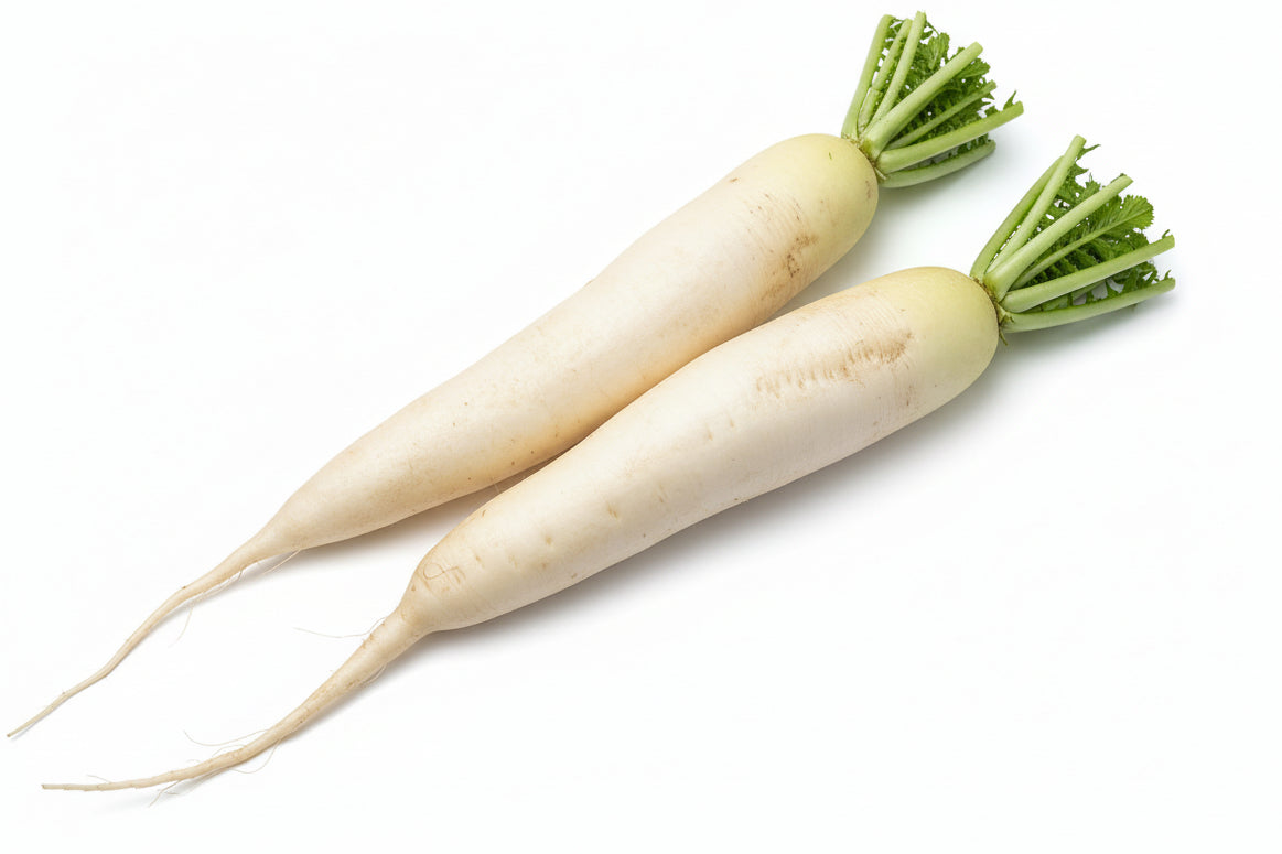 Fresh White Radish (Muli / Mooli) - 450-500g Approx.