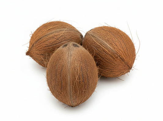 Fresh Whole Coconut 