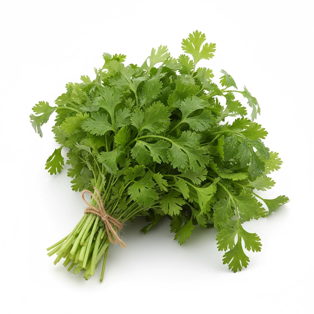 Fresh Coriander (Dhaniya) - Aromatic Green Leaves