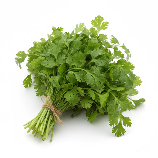 Fresh Coriander (Dhaniya) – Aromatic Green Leaves