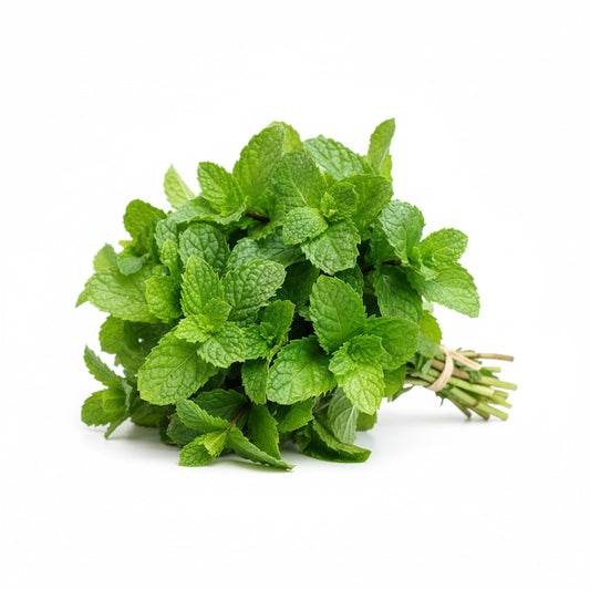 Fresh Mint (Pudina) – Cool & Fragrant Leaves